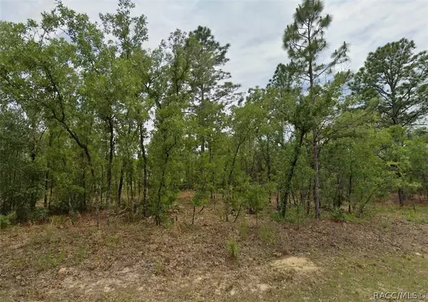 2428 W Newhope LN, Dunnellon, FL 34434