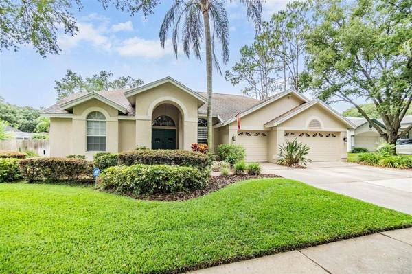 3906 BLUE MAIDENCANE PL, Valrico, FL 33596