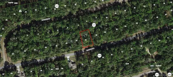 946 E Abend DR, Dunnellon, FL 34434