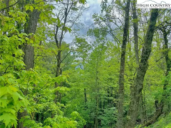 TBD Apline DR, Seven Devils, NC 28604