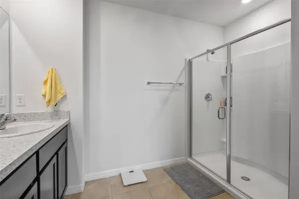 3446 SUNCOAST PLAINS DR, Odessa, FL 33556