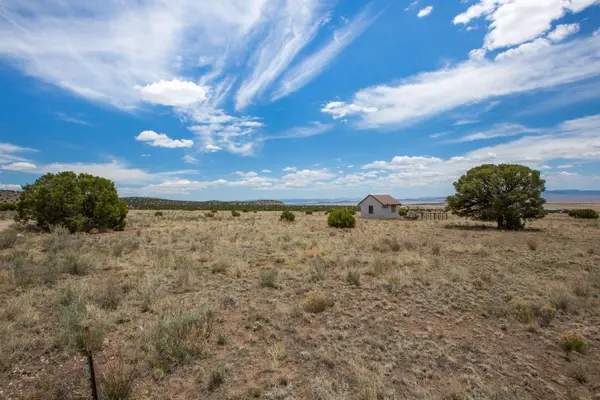 96 Sugarloaf TRL, Datil, NM 87821