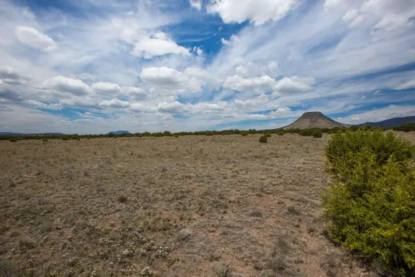96 Sugarloaf TRL, Datil, NM 87821