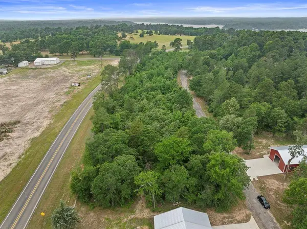 LOT R4 Big Pine Estates, Scroggins, TX 75480