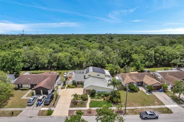 6914 WILLIAMS DR, Tampa, FL 33634