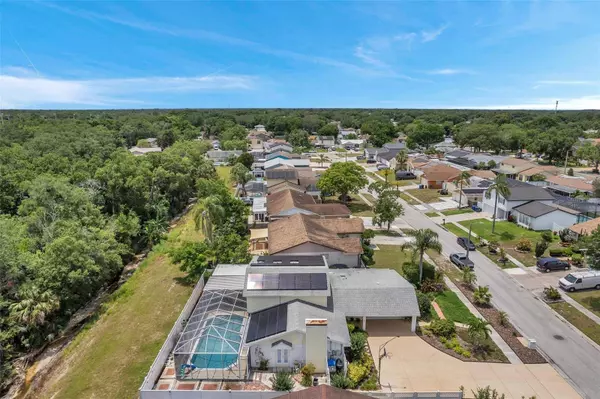 6914 WILLIAMS DR, Tampa, FL 33634