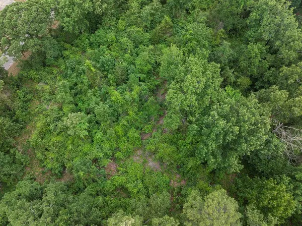 LOT R4 Big Pine Estates, Scroggins, TX 75480