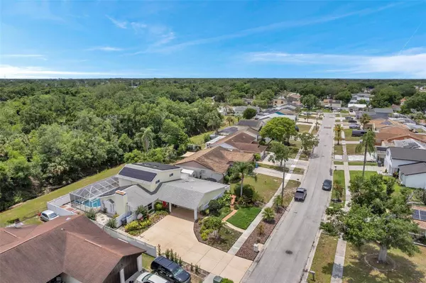 6914 WILLIAMS DR, Tampa, FL 33634