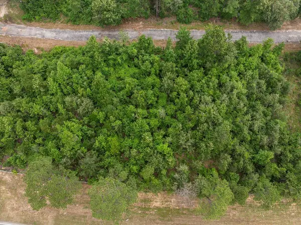 LOT R4 Big Pine Estates, Scroggins, TX 75480