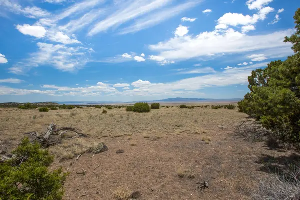 96 Sugarloaf TRL, Datil, NM 87821