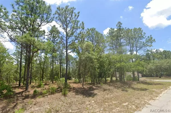 9731 N Emellia AVE, Citrus Springs, FL 34433