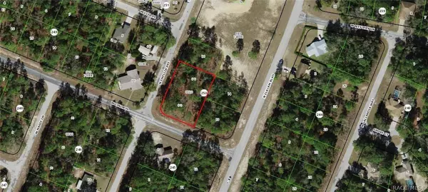 9731 N Emellia AVE, Citrus Springs, FL 34433