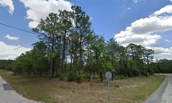 9751 N Emellia AVE, Citrus Springs, FL 34433