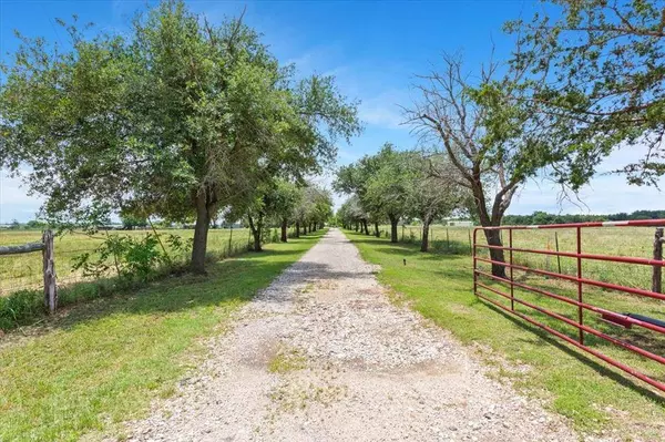 290 Lcr 437, Mexia, TX 76667