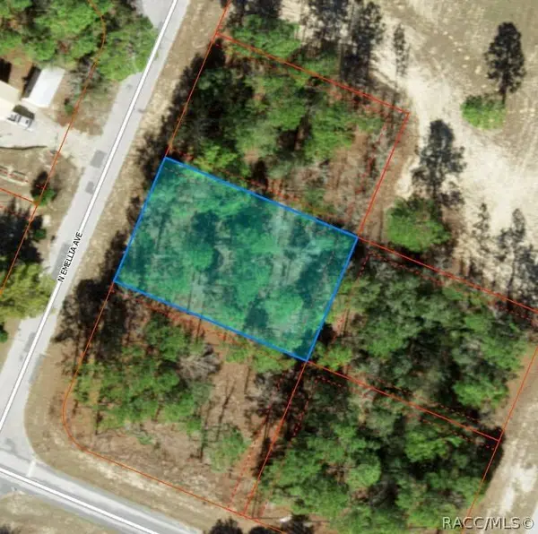 9751 N Emellia AVE, Citrus Springs, FL 34433