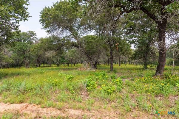 0 (Lot 145) Flash CIR, Luling, TX 78648