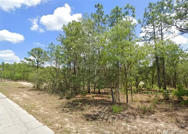 9751 N Emellia AVE, Citrus Springs, FL 34433