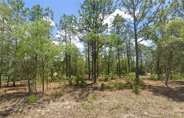 9731 N Emellia AVE, Citrus Springs, FL 34433