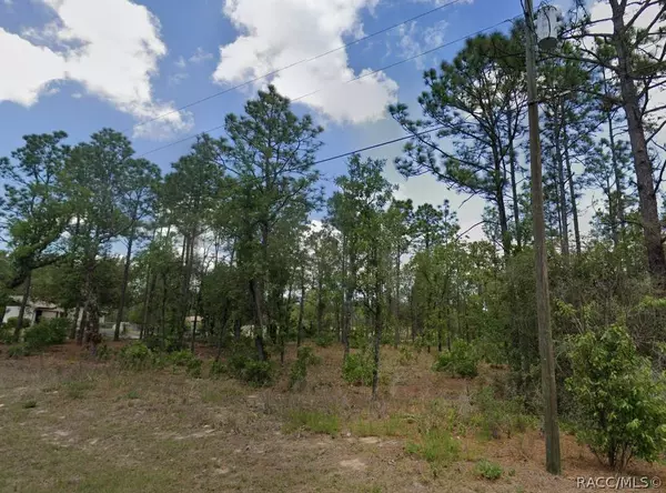 9751 N Emellia AVE, Citrus Springs, FL 34433