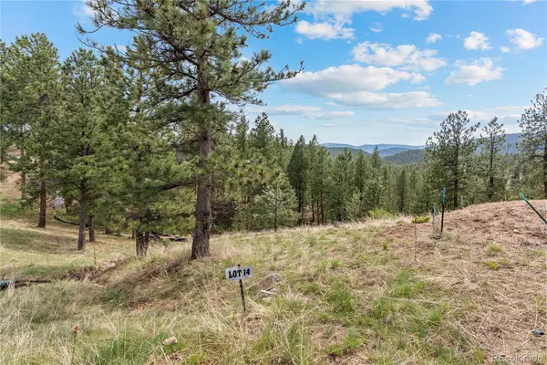 5207 Mountain Vista LN, Evergreen, CO 80439