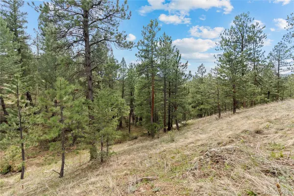 5207 Mountain Vista LN, Evergreen, CO 80439