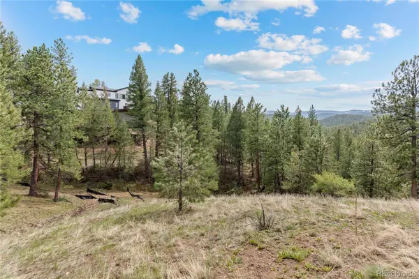 5207 Mountain Vista LN, Evergreen, CO 80439