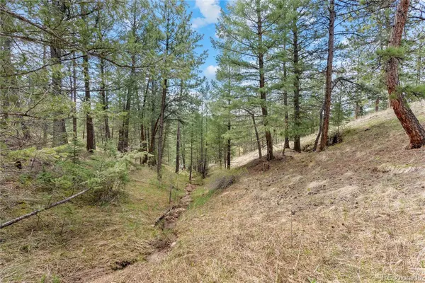 5207 Mountain Vista LN, Evergreen, CO 80439