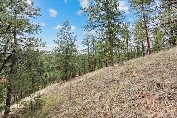 5207 Mountain Vista LN, Evergreen, CO 80439
