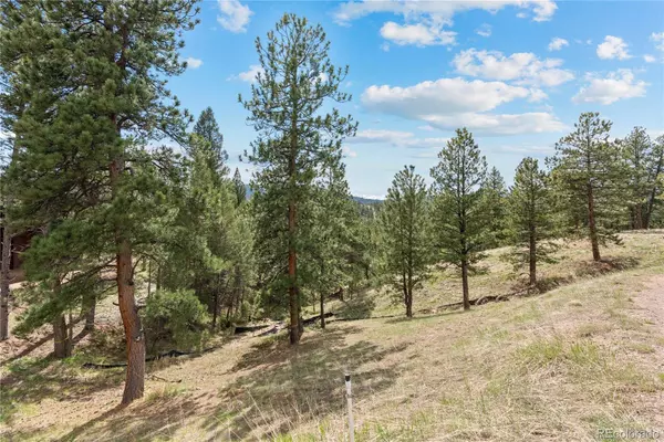 5207 Mountain Vista LN, Evergreen, CO 80439