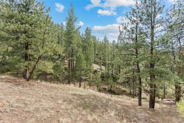 5207 Mountain Vista LN, Evergreen, CO 80439