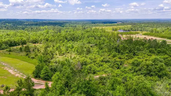 0000 Pine Vista Ln, Jay, FL 32565