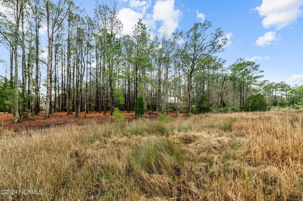 6015 Falcon Road, Oriental, NC 28571