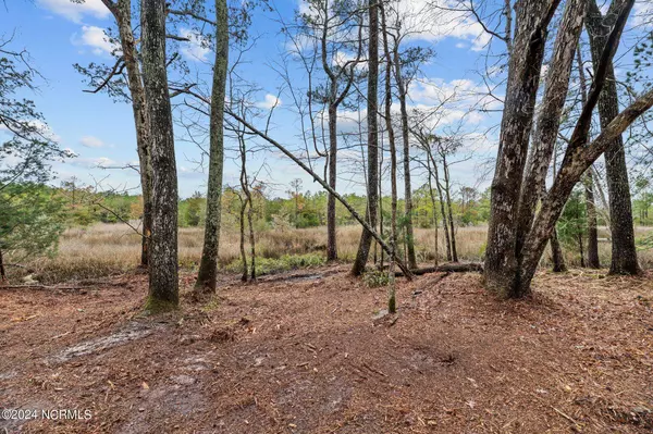 6013 Falcon Road, Oriental, NC 28571