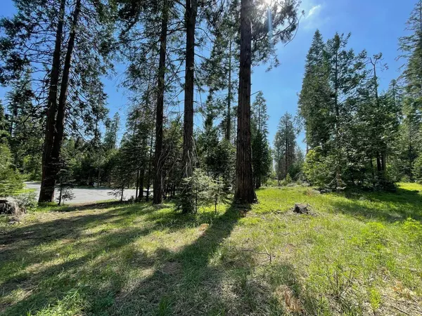 4 Littleridge Road, Shaver Lake, CA 93664