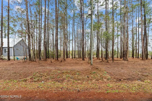 6013 Falcon Road, Oriental, NC 28571