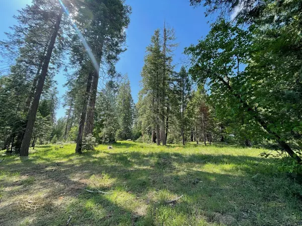 4 Littleridge Road, Shaver Lake, CA 93664