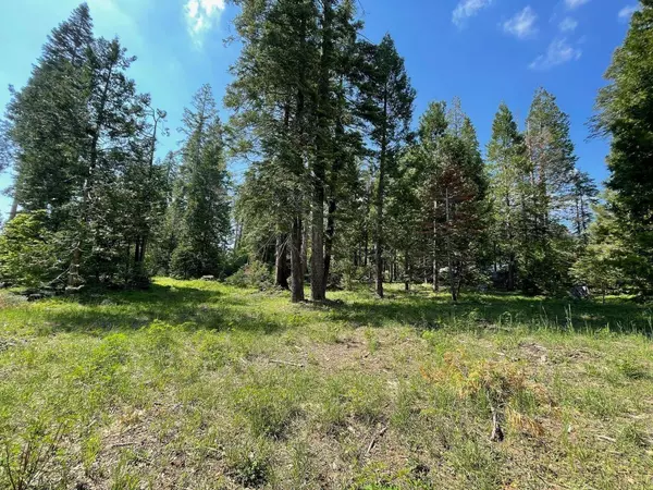 4 Littleridge Road, Shaver Lake, CA 93664