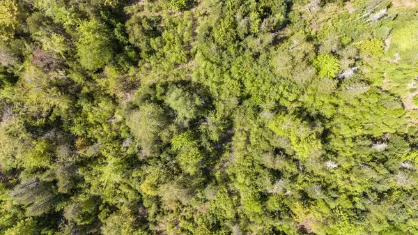 Lot 39 Grover Hill RD, Bethel, ME 04217