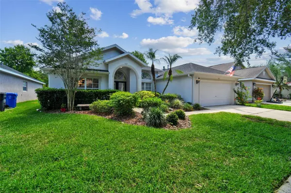 19205 CINNAMON RIDGE WAY, Tampa, FL 33647