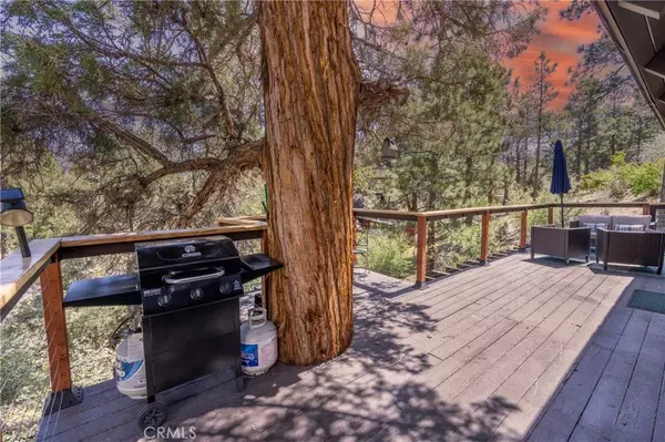141 E Starr DR, Big Bear City, CA 92314
