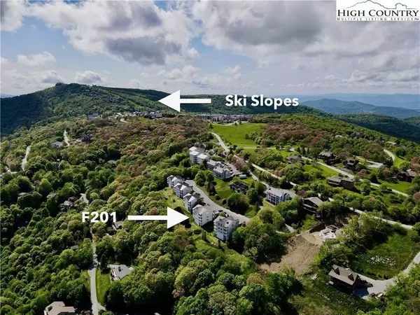 510 Elderberry Ridge RD #F201, Beech Mountain, NC 28604