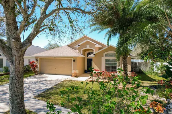 10216 MERRIMAC MANOR DR, Riverview, FL 33578