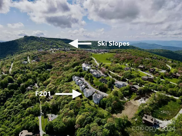 510 Elderberry Ridge RD #F201, Beech Mountain, NC 28604