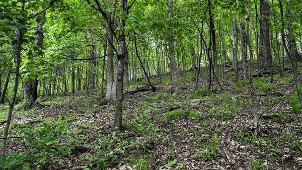 0 Kermit Ave, Ridgeville, WI 54648