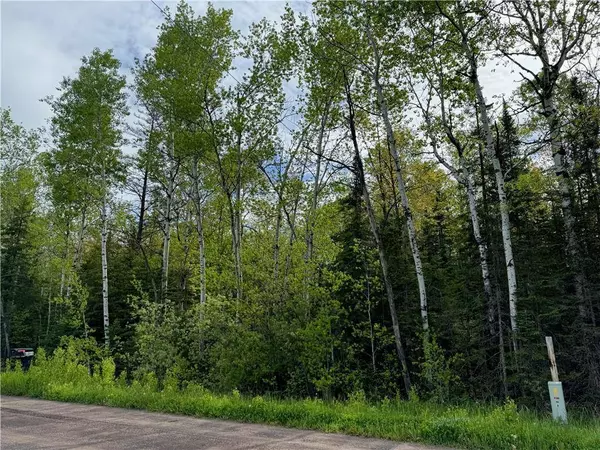 5.56 acres on Evergreen Road, Port Wing, WI 54865