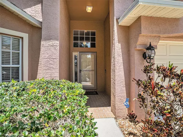 2703 PANKAW LN, Valrico, FL 33596