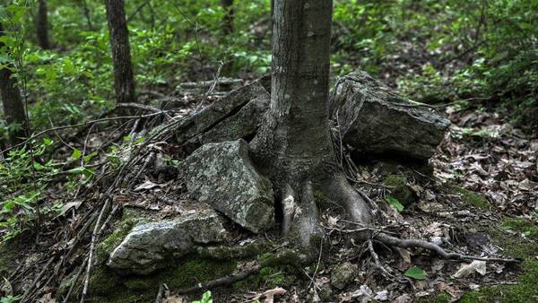 0 Kermit Ave, Ridgeville, WI 54648