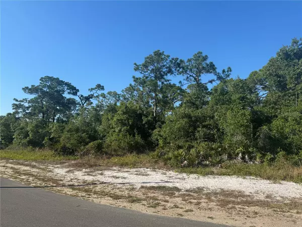 220 E CANAL WAY NE, Lake Placid, FL 33852