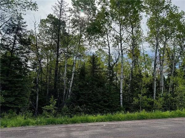 5.56 acres on Evergreen Road, Port Wing, WI 54865