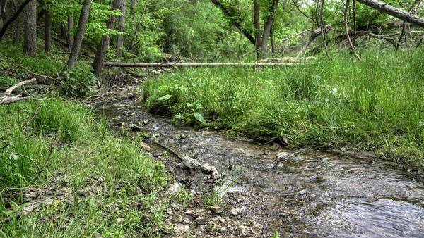 0 Kermit Ave, Ridgeville, WI 54648